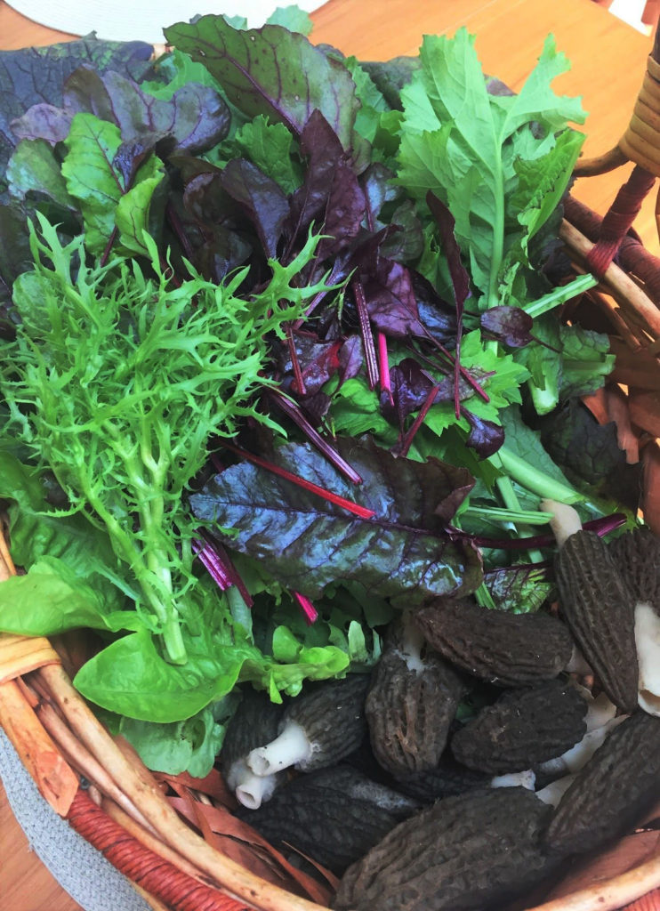 Garden greens and morel mushrooms